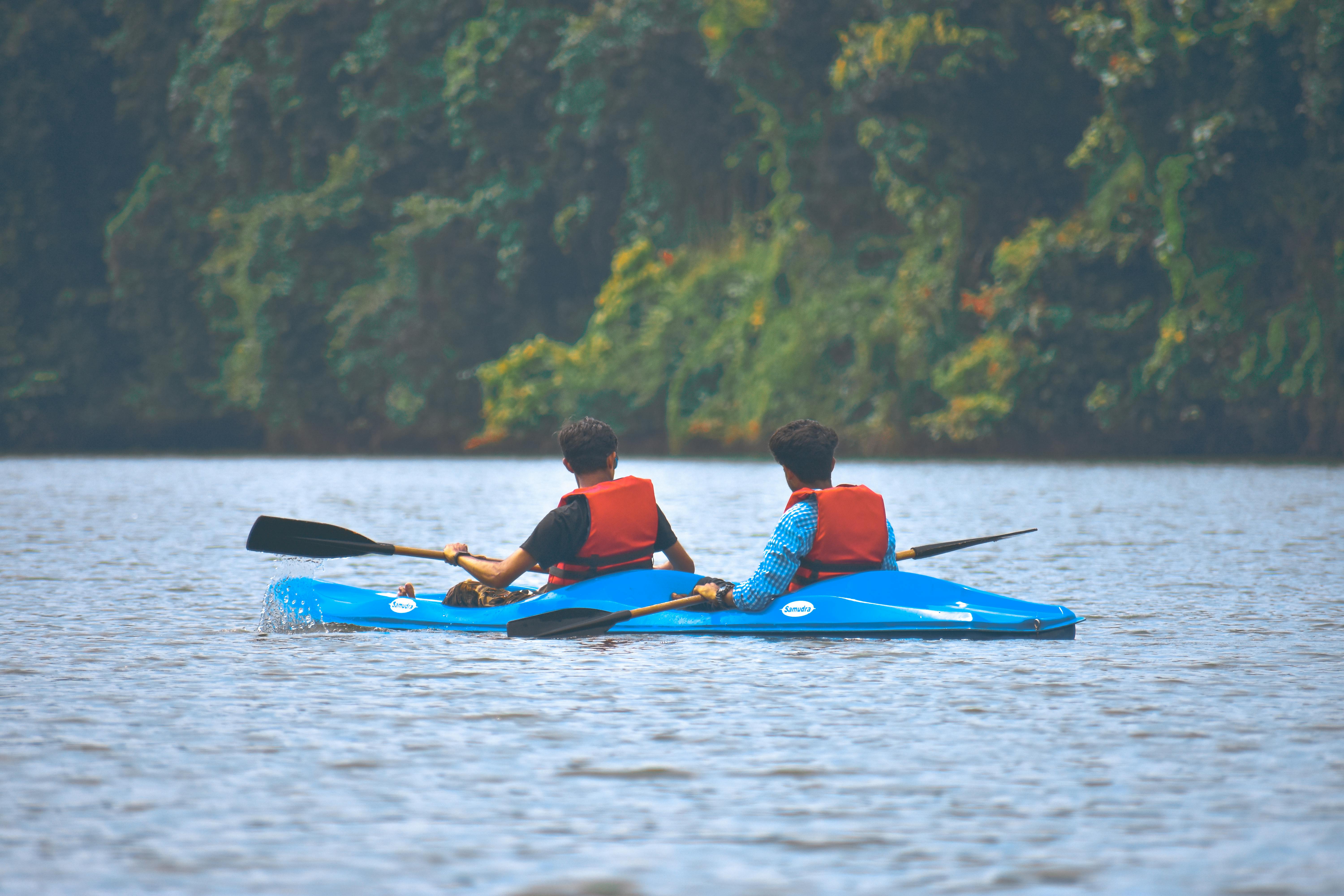 Mangrove kayaking