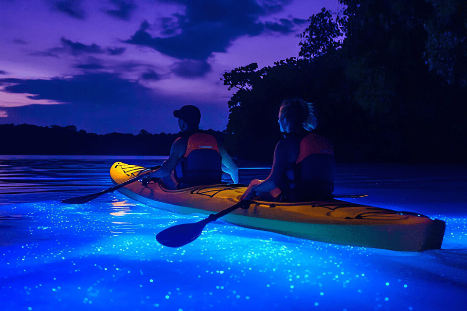 Night kayaking adventure
