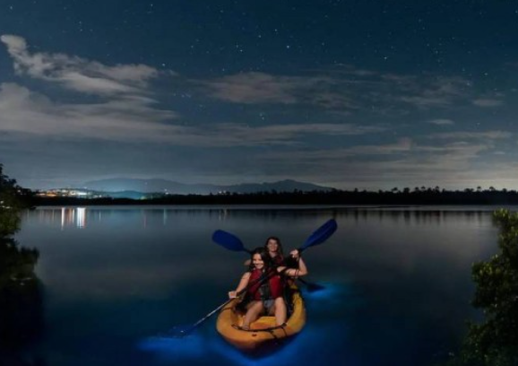Get Up And Go Kayaking